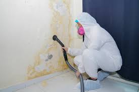 Mold Documentation for Insurance Claims in El Monte, CA